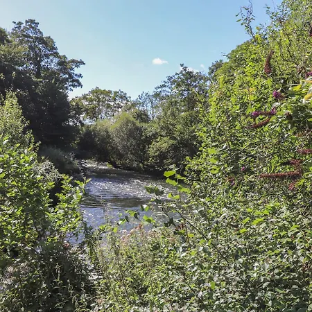 Dom wakacyjny The Burrow *